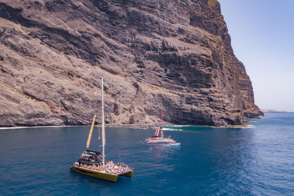 Masca + Los Gigantes : Billet d'excursion pour l'observation des baleines et des dauphins