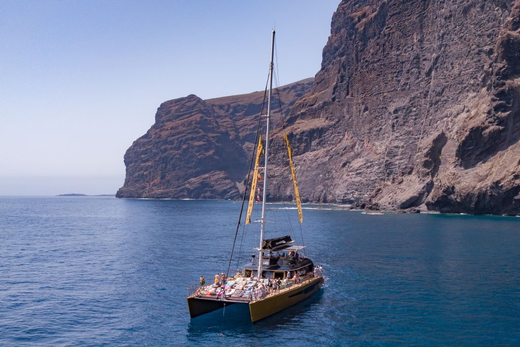Masca + Los Gigantes : Billet d'excursion pour l'observation des baleines et des dauphins