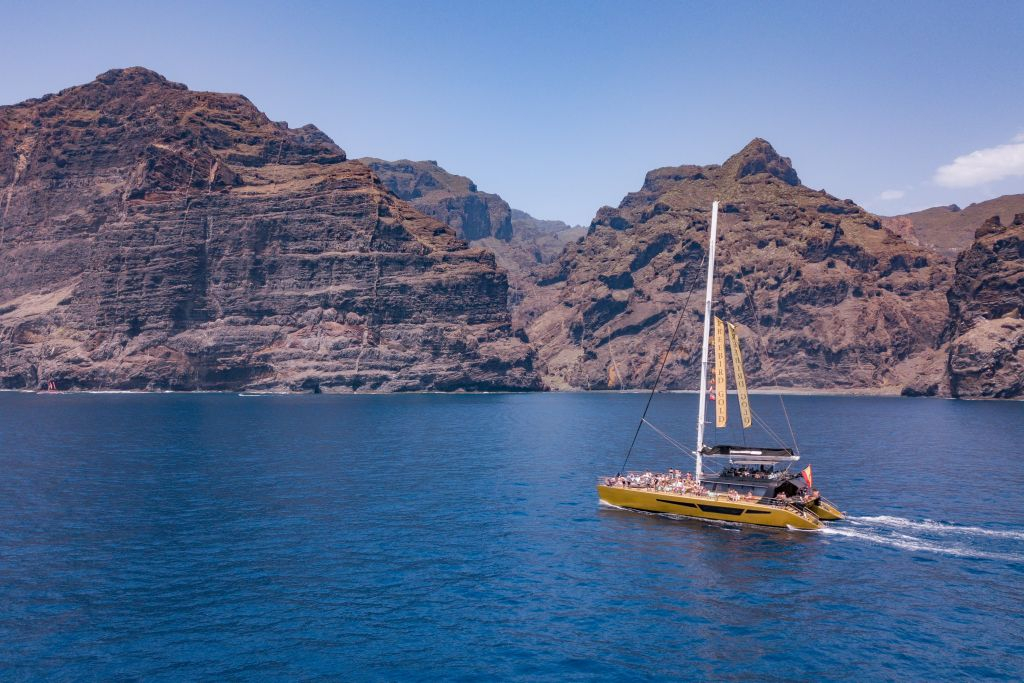 Masca + Los Gigantes : Billet d'excursion pour l'observation des baleines et des dauphins