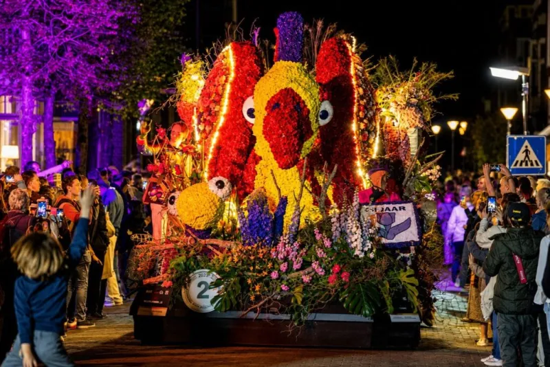 Experiência das Tulipas em Amesterdão + Desfile das Flores: Excursão de um dia a partir de Amesterdão
