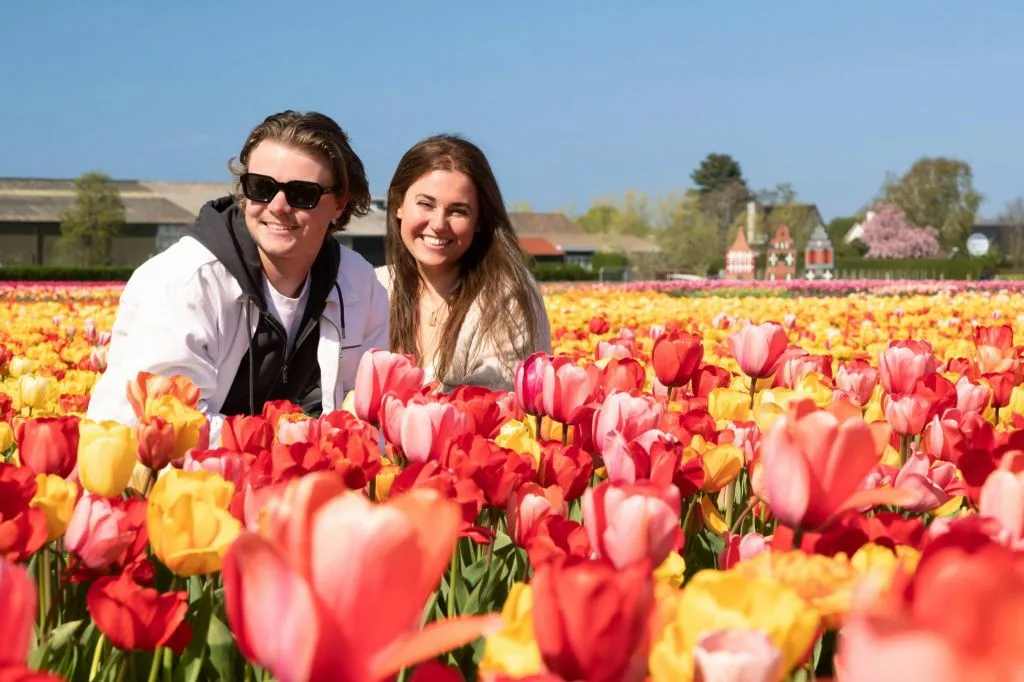 Experiência das Tulipas em Amesterdão + Desfile das Flores: Excursão de um dia a partir de Amesterdão