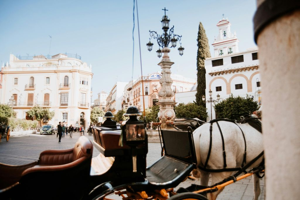 Guided Tours in Seville