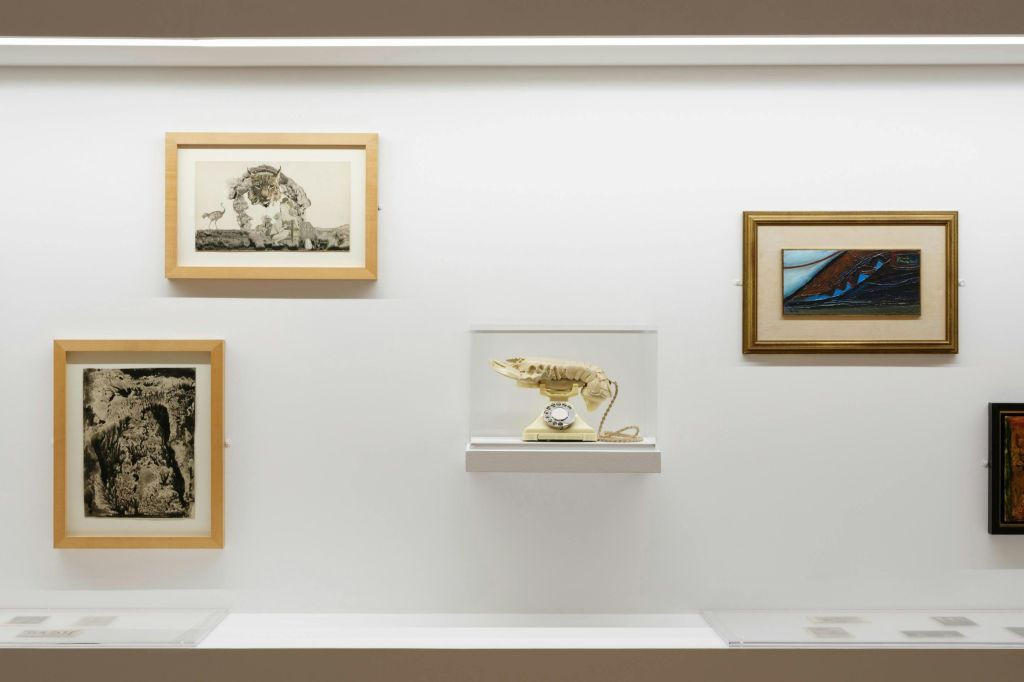 Museu de Arte Contemporânea e Centro de Arquitetura: bilhete de entrada