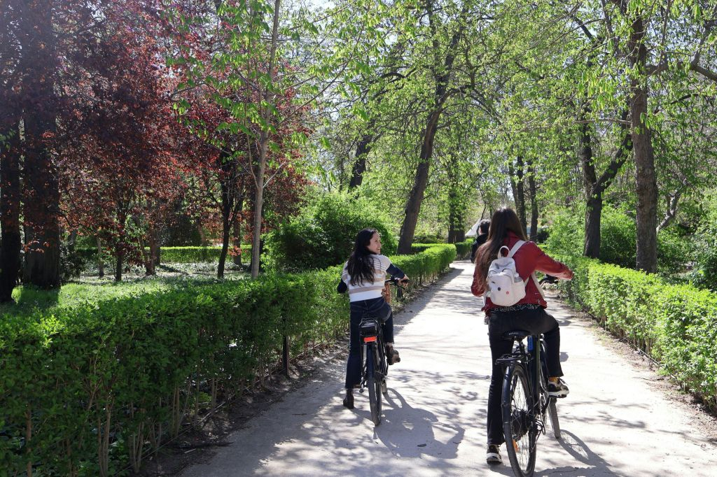 Museo del Prado: Entrada sin colas + Visita guiada + Recorrido en bicicleta eléctrica por el Parque del Retiro