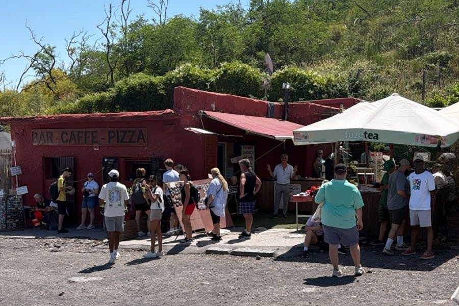 Parco Nazionale del Vesuvio: Biglietto con accesso rapido + guida