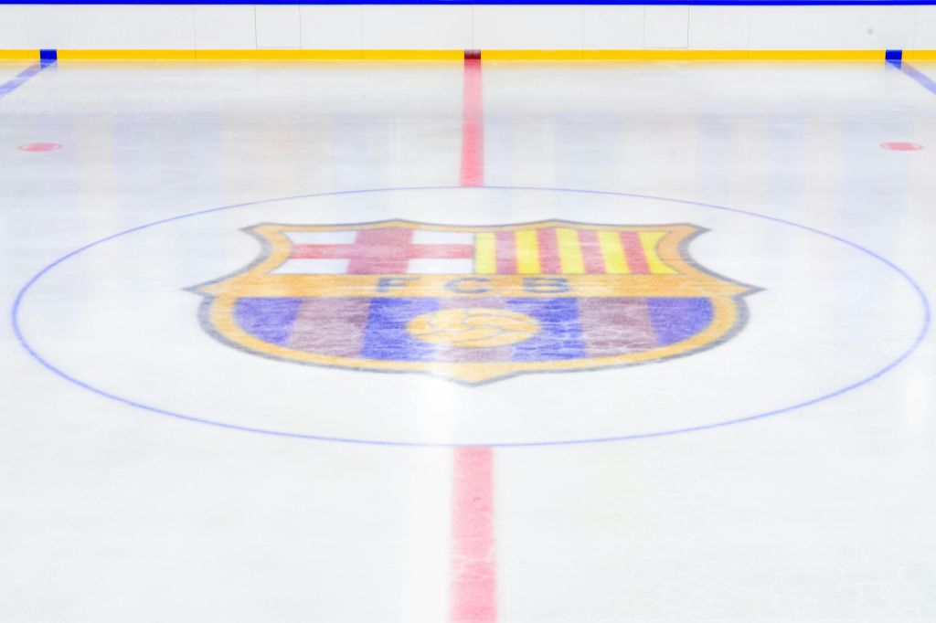 Pista de hielo del FC Barcelona: Entrada