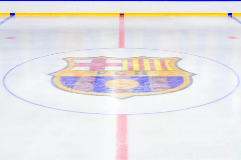 Pista de hielo del FC Barcelona: Entrada