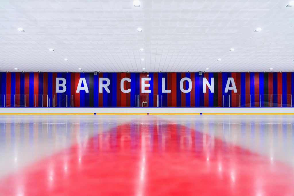 Pista de hielo del FC Barcelona: Entrada