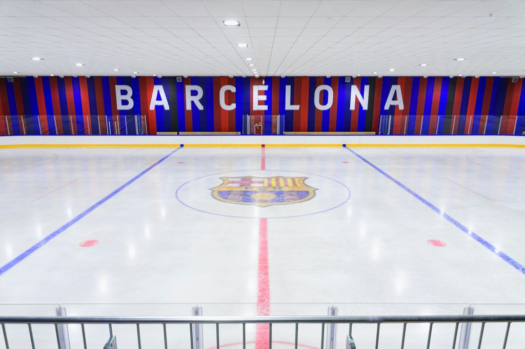 Pista de hielo del FC Barcelona: Entrada