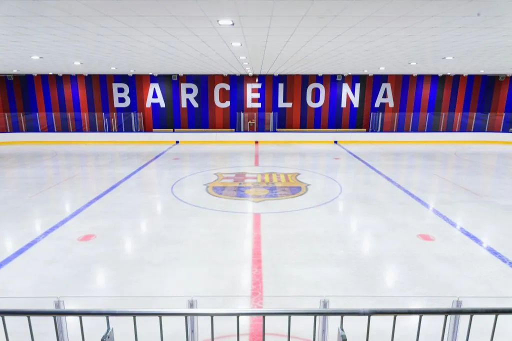 Pista de hielo del FC Barcelona: Entrada