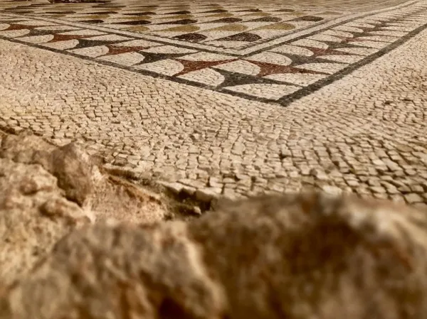 Villa Romana del Sito Archeologico di Fuente Álamo: Tour Audioguidato
