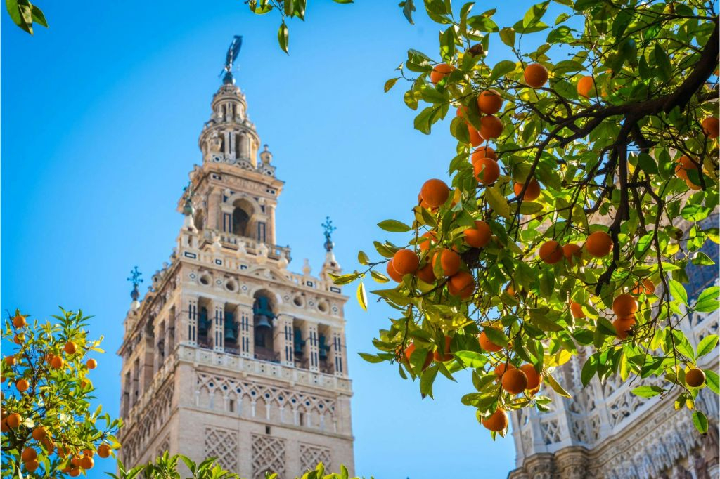 Catedral de Sevilla y La Giralda: entrada + app con audioguía + experiencia de realidad aumentada