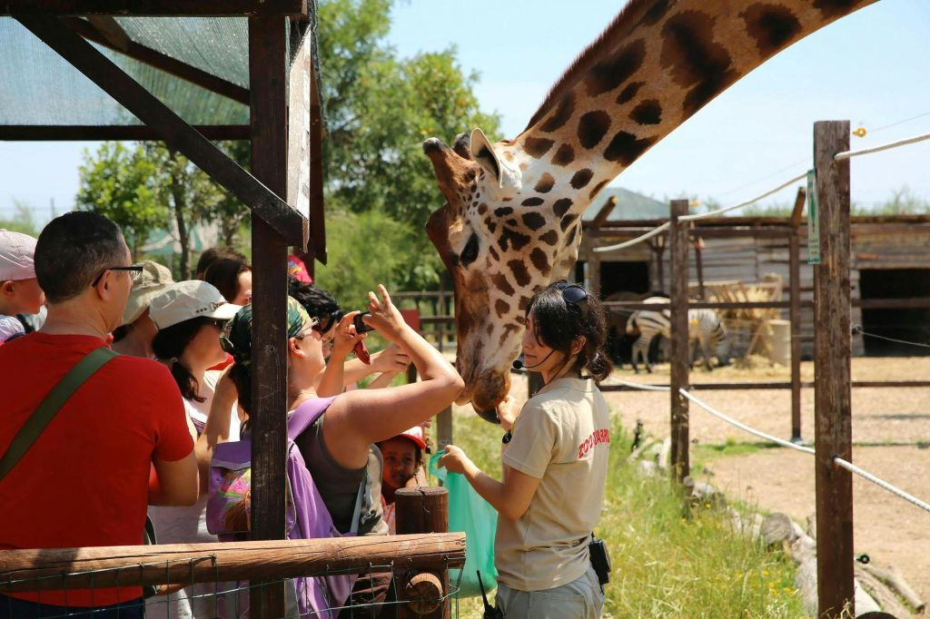 Zoo d'Abruzzo: Biglietto d'ingresso