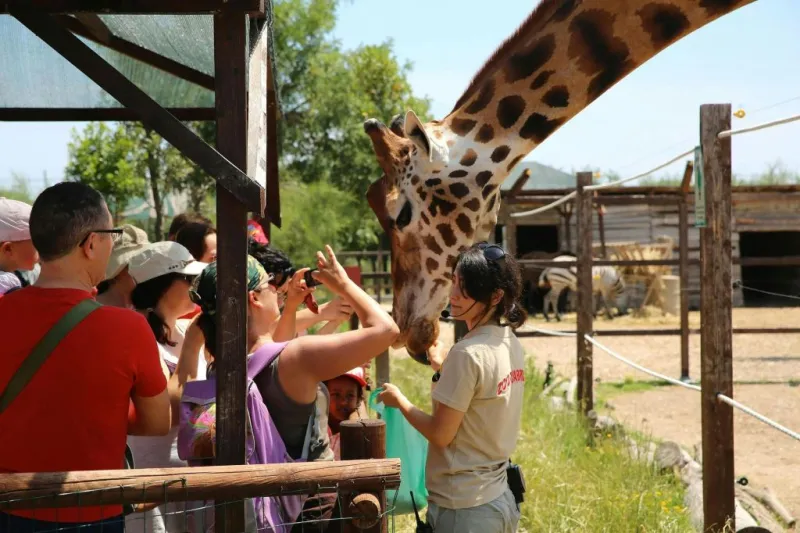 Zoo d'Abruzzo: Biglietto d'ingresso