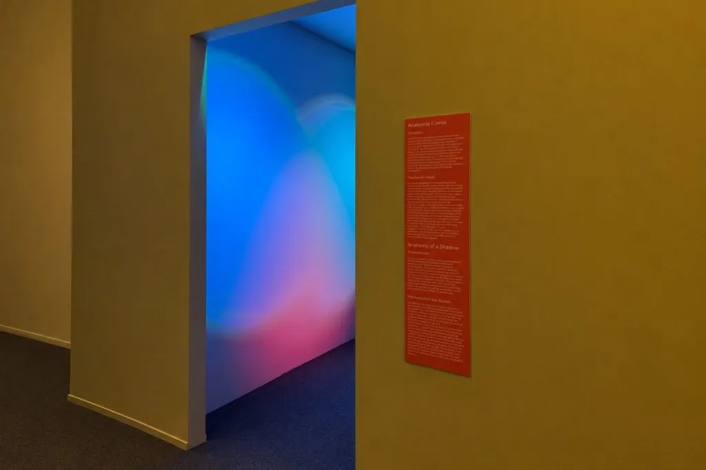 Museo delle illusioni di Breslavia: Biglietto d'ingresso