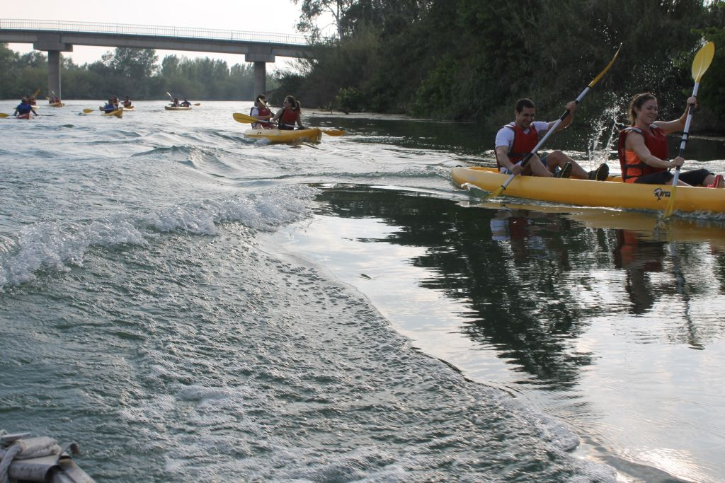 Delta del Ebro: Excursión en kayak