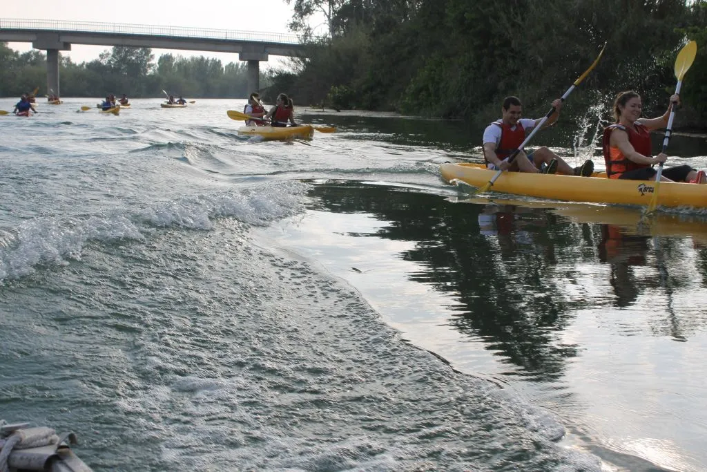 Delta del Ebro: Excursión en kayak