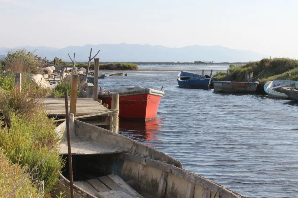 Delta del Ebro: Excursión en kayak