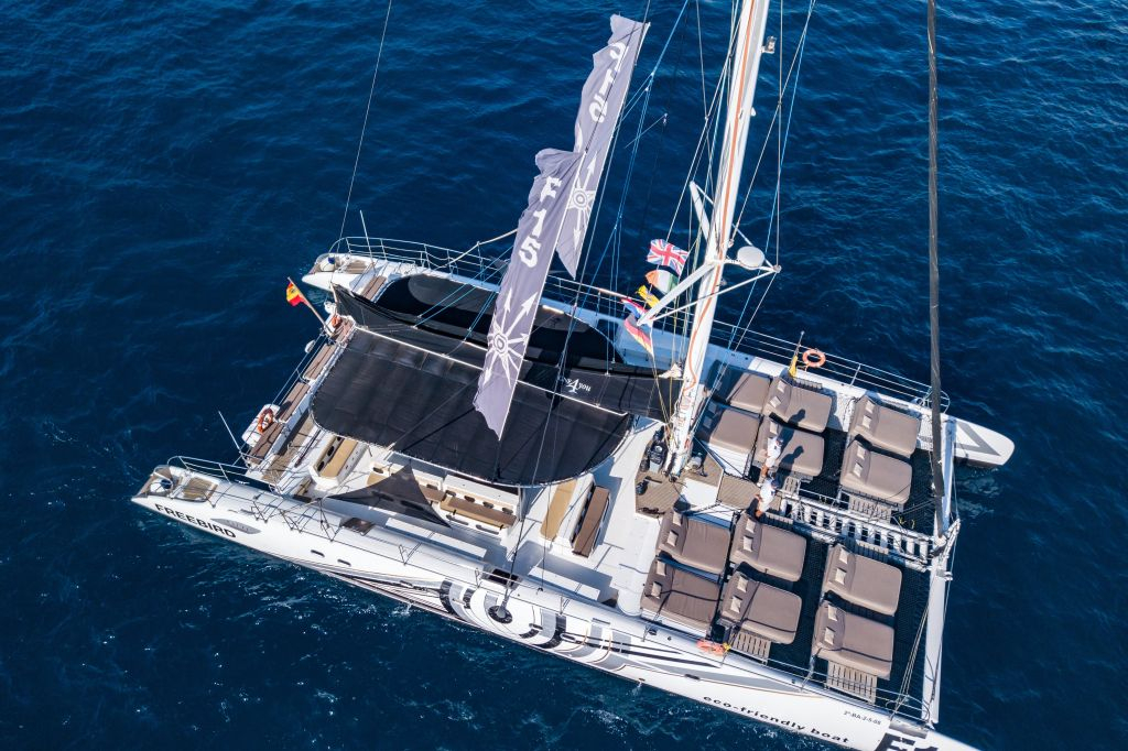 Tenerife : 3 heures d'observation des dauphins et des baleines