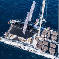 Tenerife: 3-Hr Dolphin and Whale-Watching Tour