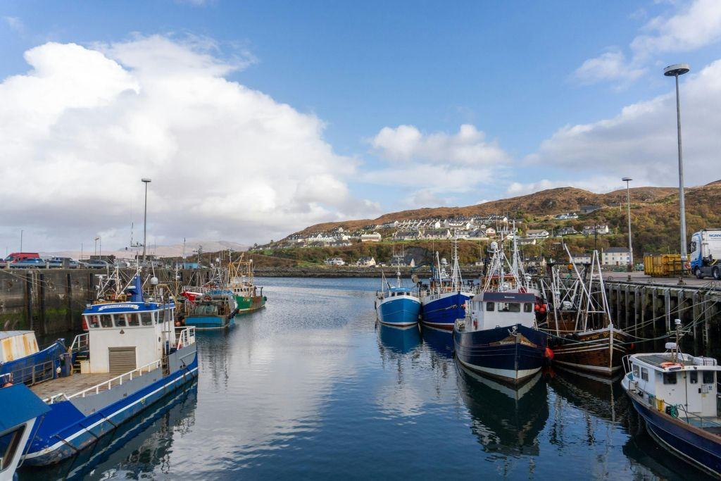 Scottish Highlands: Guided Tour from Inverness + Jacobite Steam Train Ticket