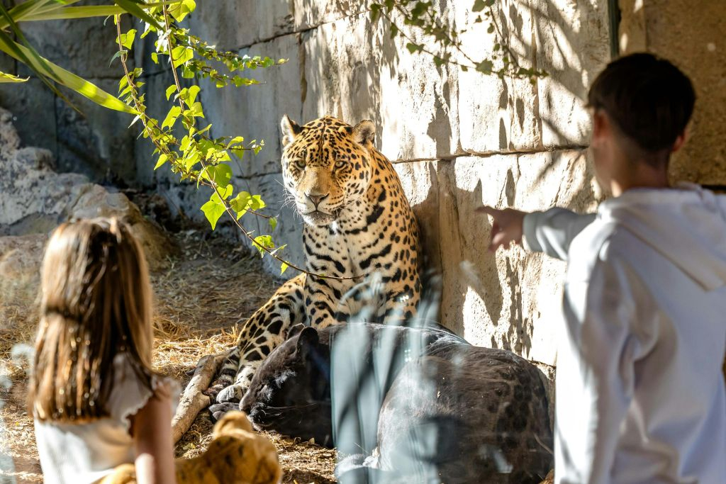 Terra Natura Benidorm: Winter Pass