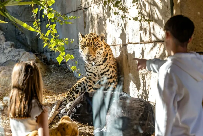 Terra Natura Benidorm: Pase de invierno
