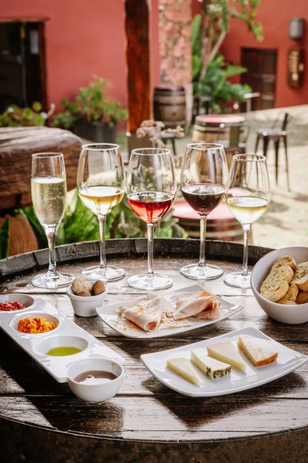 Museo del Vino de Tenerife: Visita y degustación