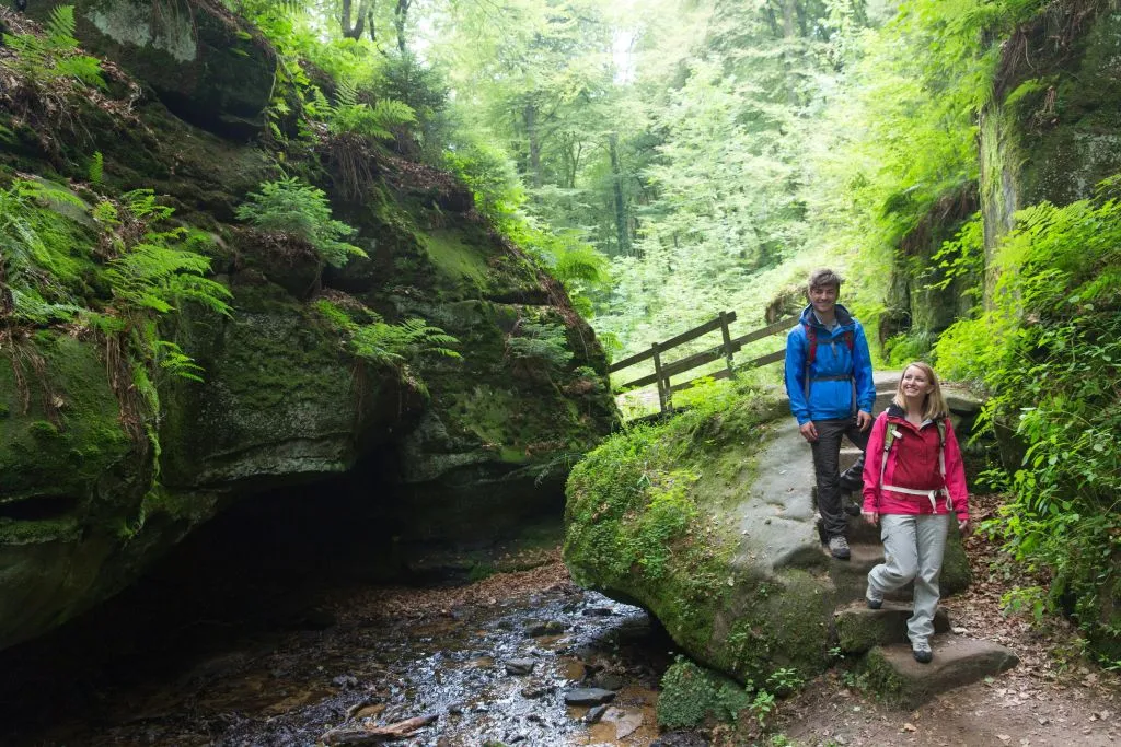 Luxembourg : excursion d'une journée à la découverte de la nature et des châteaux
