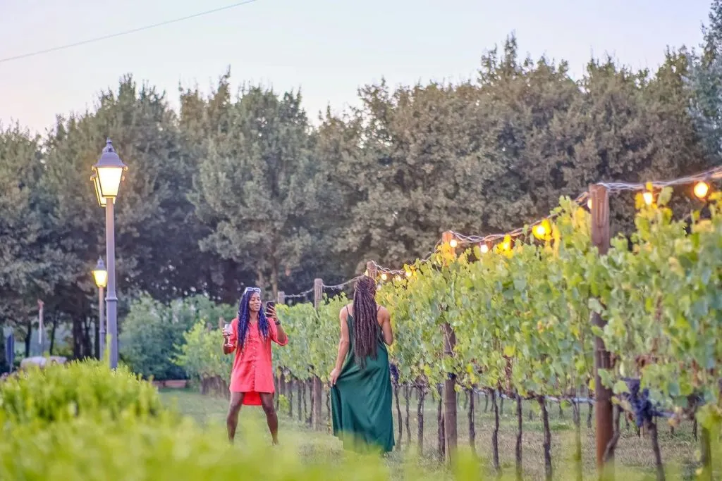 Chianti: tour guidato delle cantine con partenza da Firenze + degustazioni di vino + cena