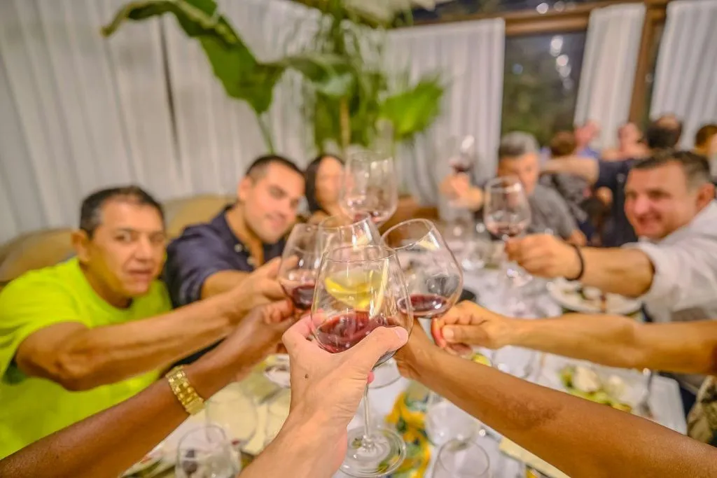 Chianti: tour guidato delle cantine con partenza da Firenze + degustazioni di vino + cena
