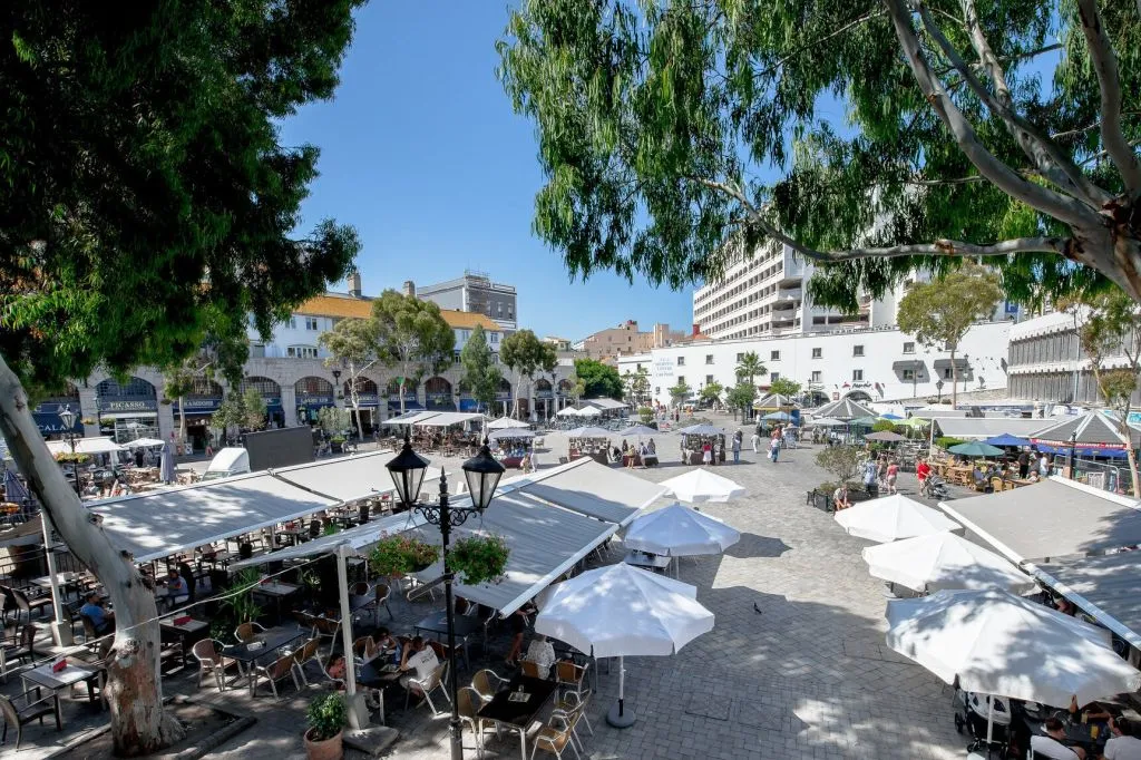 Peñón de Gibraltar: Excursión de un día desde Málaga