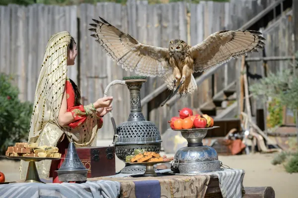 Puy du Fou España: Entry Ticket + Roundtrip Transport from Madrid