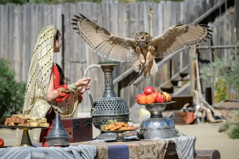 Puy du Fou España: Entry Ticket + Roundtrip Transport from Madrid