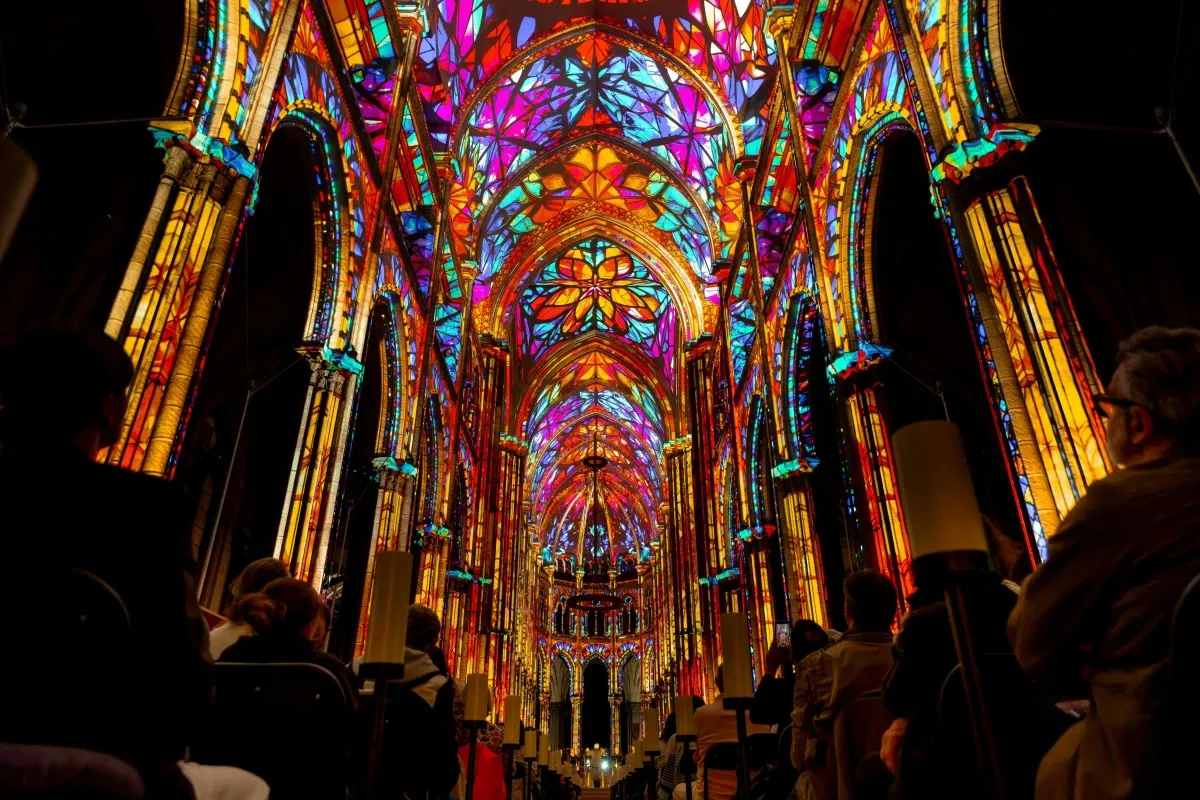 LUMINISCENCE Lille : Billet d'entrée
