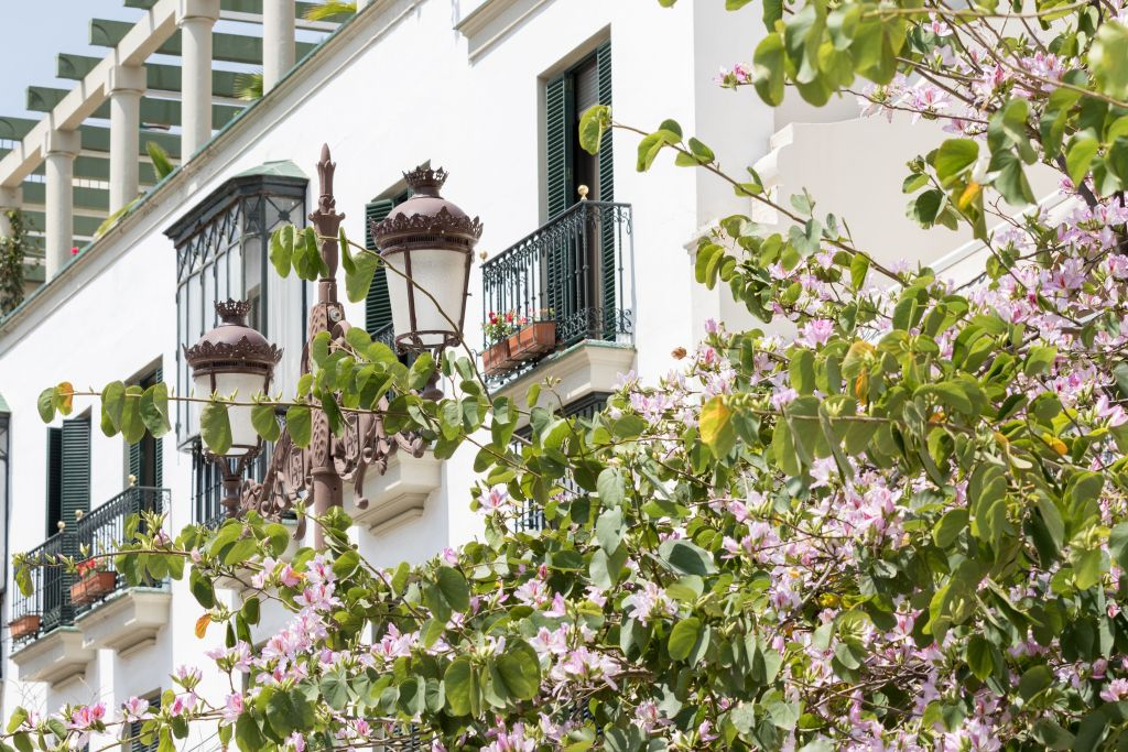 Tour pelo bairro judeu de Sevilha: Bairro de Santa Cruz