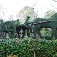 Madrid: El Bosque Encantado