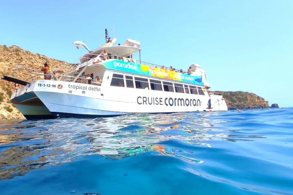 Santa Ponsa: Observación de delfines en barco con fondo de cristal