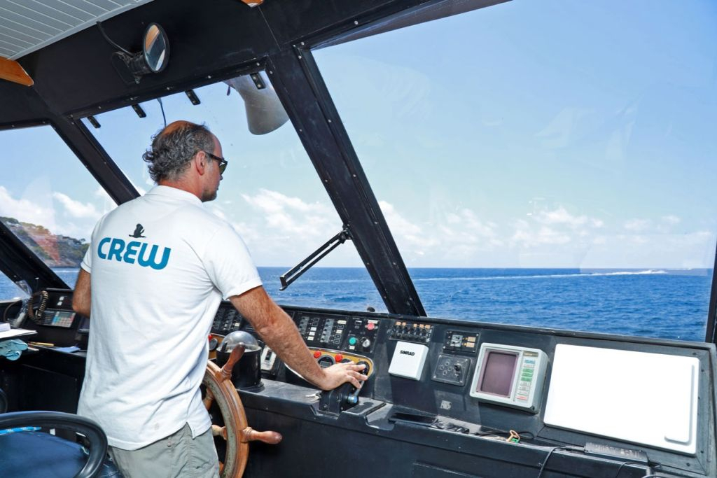 Santa Ponsa: Observación de delfines en barco con fondo de cristal