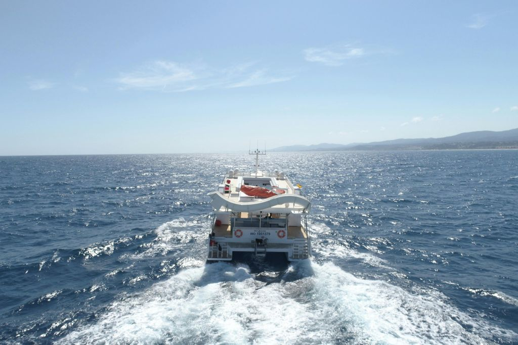 Santa Ponsa: Observación de delfines en barco con fondo de cristal