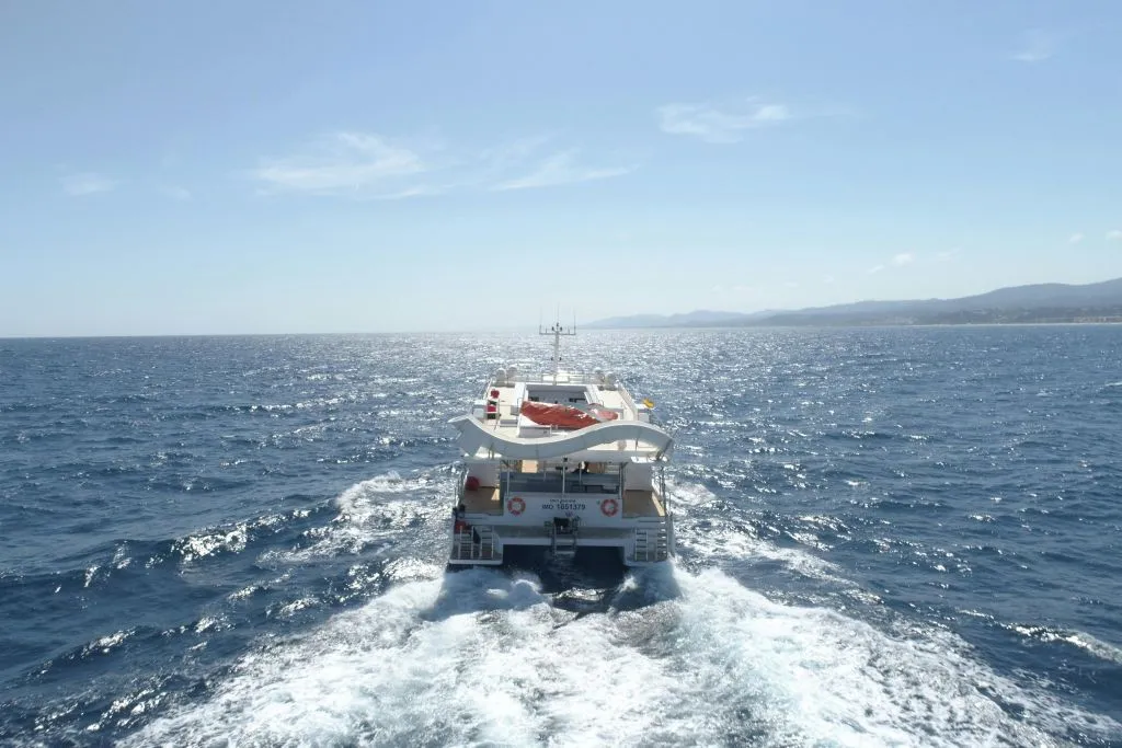 Santa Ponsa: Observación de delfines en barco con fondo de cristal