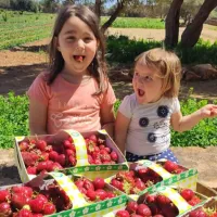 Fresópolis Guided Farm Tour with Optional Activities