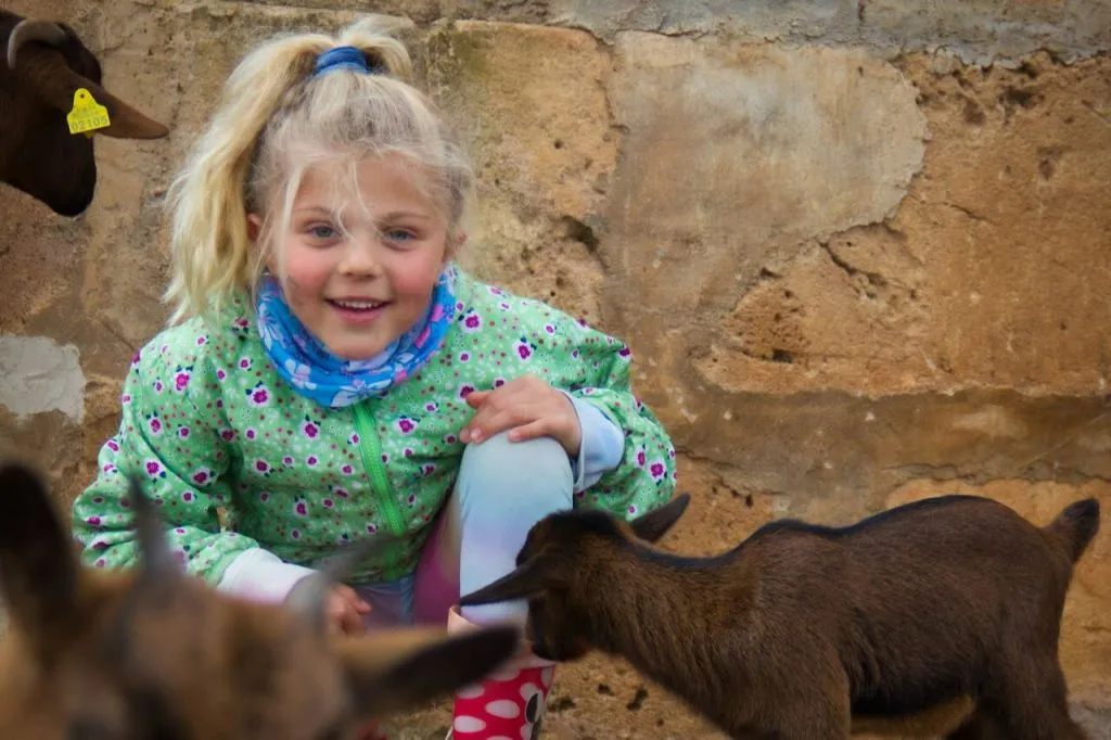 Fresópolis Guided Farm Tour with Optional Activities