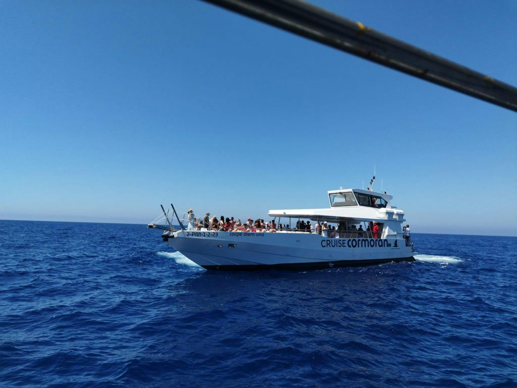 Santa Ponsa: Crucero y barco con fondo de cristal al Puerto de Andratx