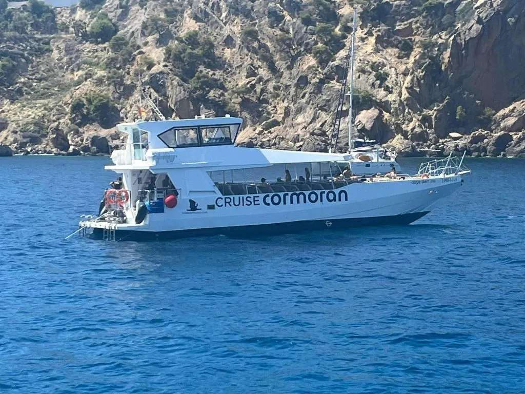 Santa Ponsa: Crucero y barco con fondo de cristal al Puerto de Andratx