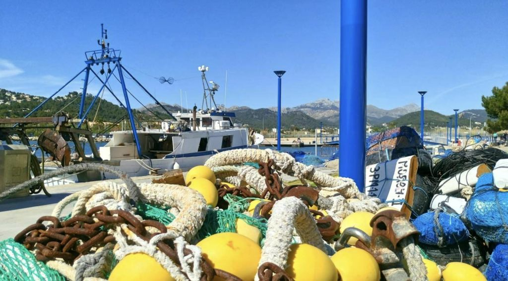Santa Ponsa: Crucero y barco con fondo de cristal al Puerto de Andratx