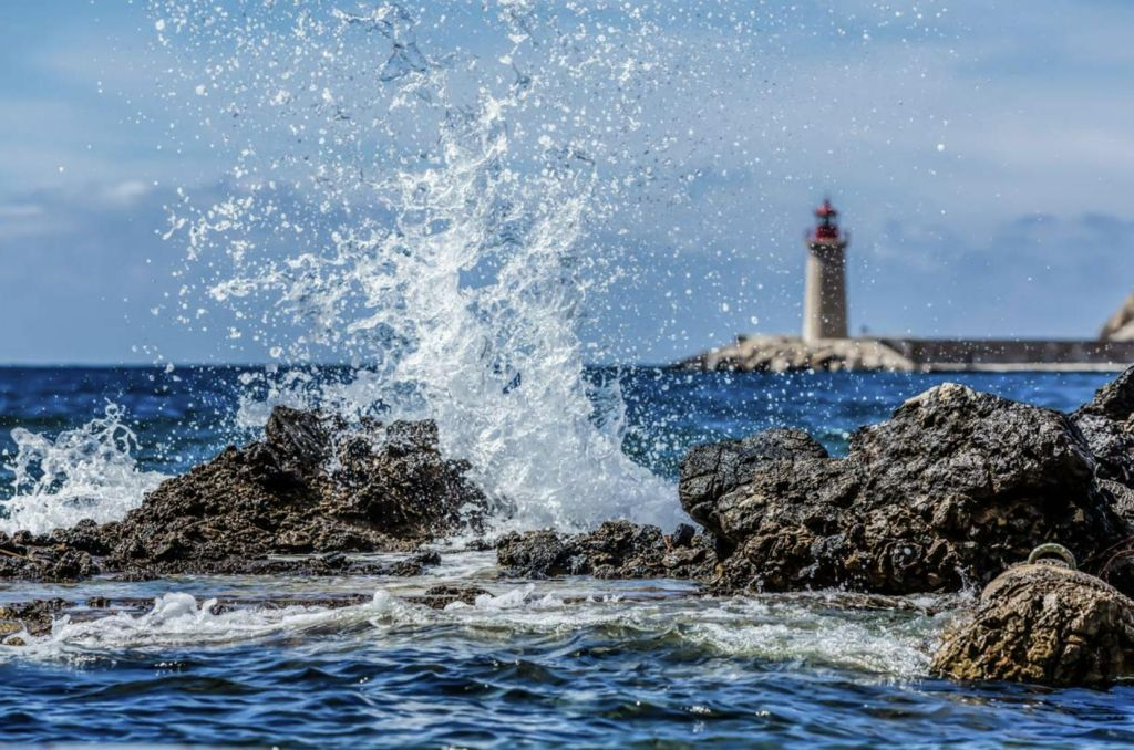 Santa Ponsa: Crucero y barco con fondo de cristal al Puerto de Andratx