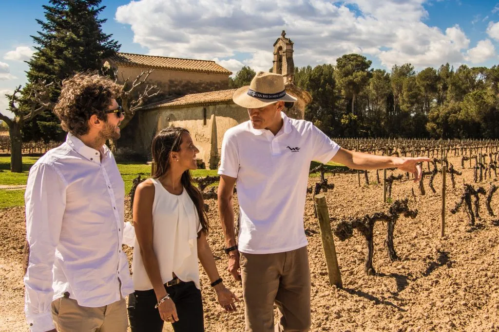 Ribera del Duero Wine Tour and Tasting from Madrid