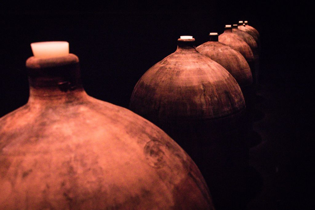 Ribera del Duero Wine Tour and Tasting from Madrid