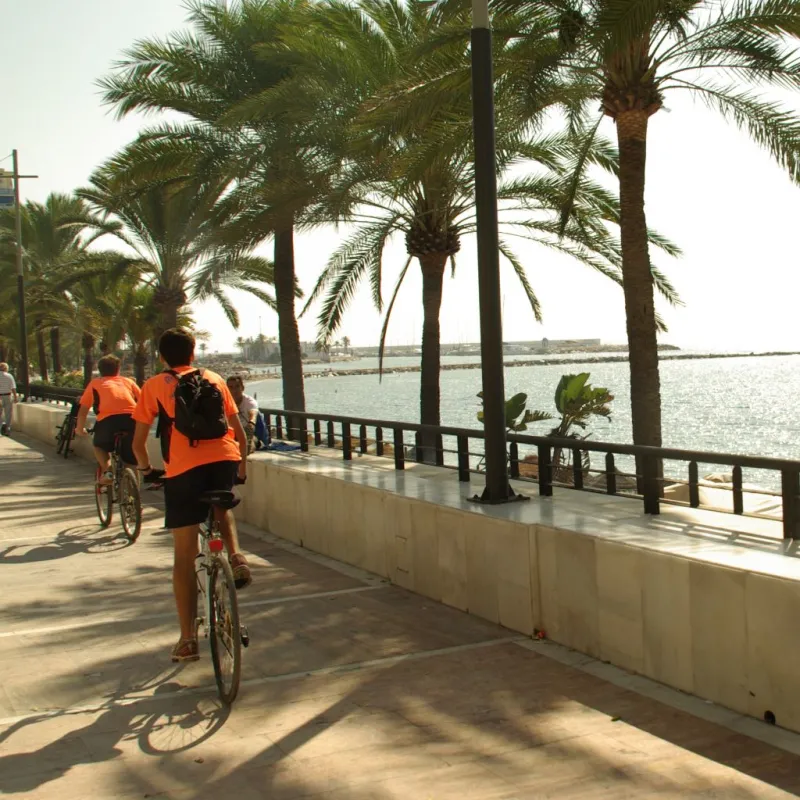 Tour en bici por Marbella